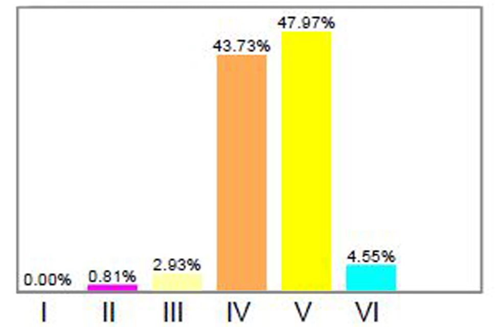 Medidas de la imagen y resultados
