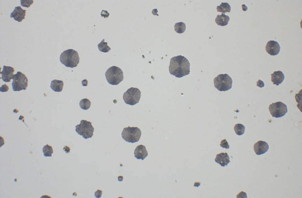 Specimen preparation
