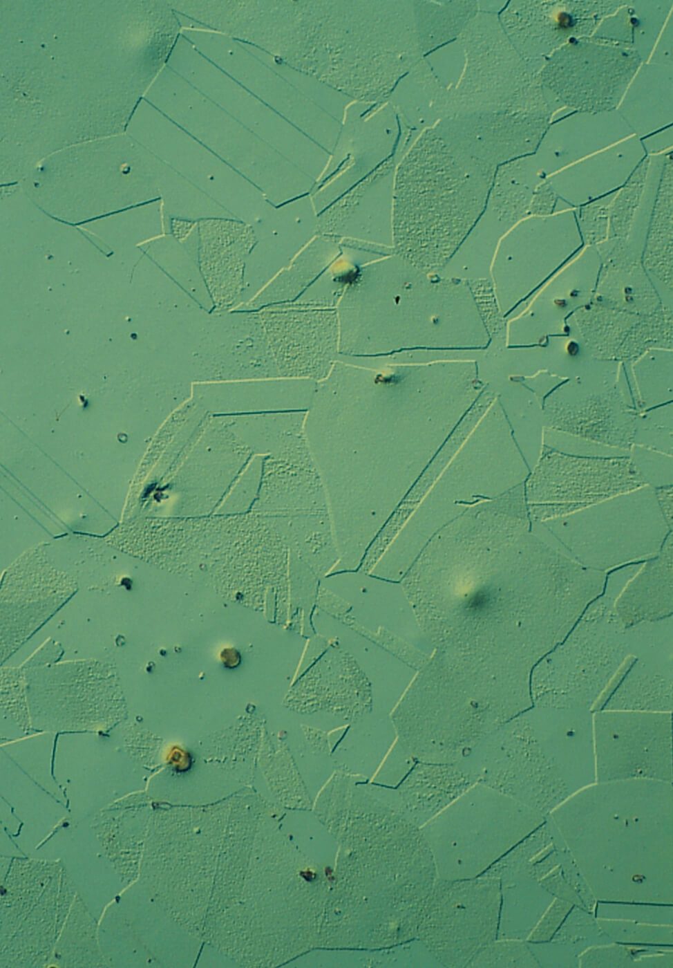 LectroPol Short polishing times and high reproducibility