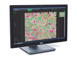 StructureExpert Spezialisierte Software